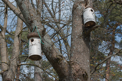 2 nichoirs à oiseaux suspendus à des arbres